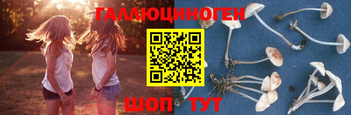 Галлюциногенные грибы ЛСД Орёл